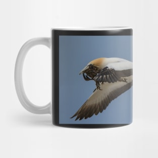 Gannets 1 Mug
